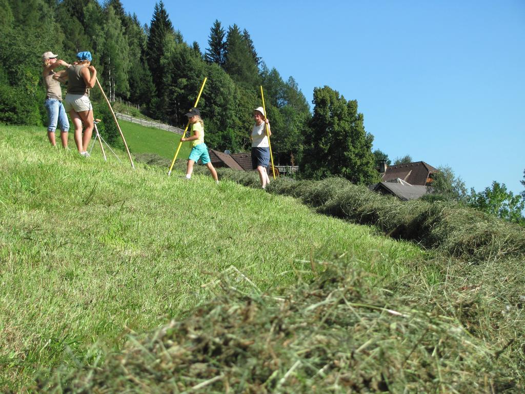 Lercherhof Feld am See Extérieur photo