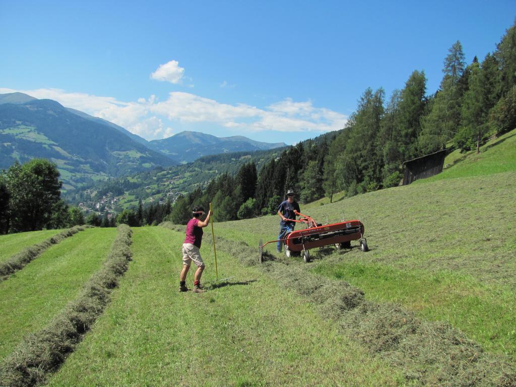 Lercherhof Feld am See Extérieur photo